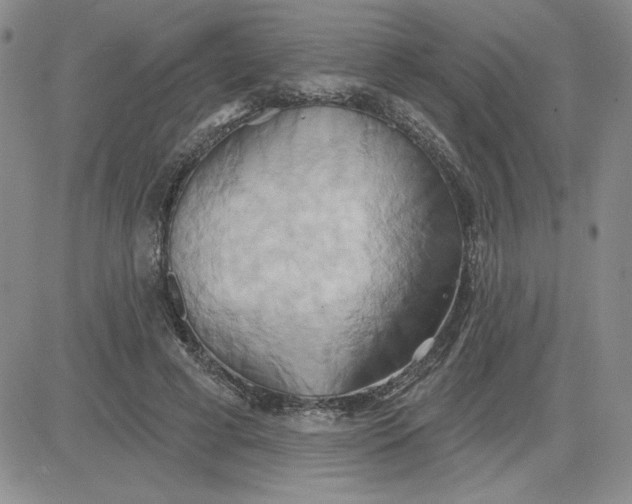 X0000081300593200701251720