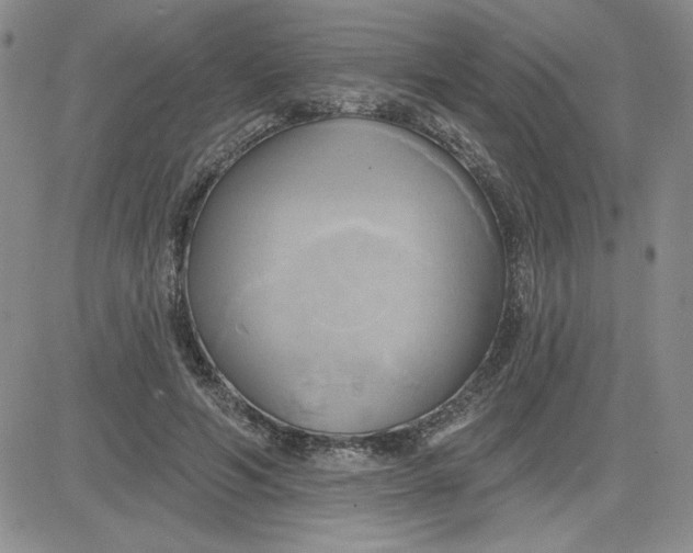 X0000081300594200701251720