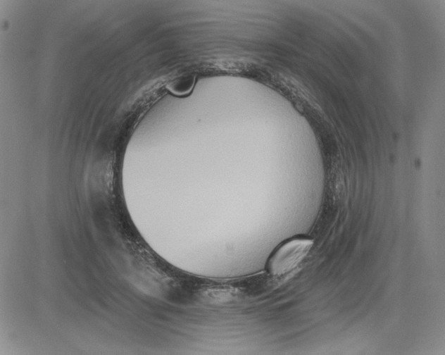 X0000081300595200701251720