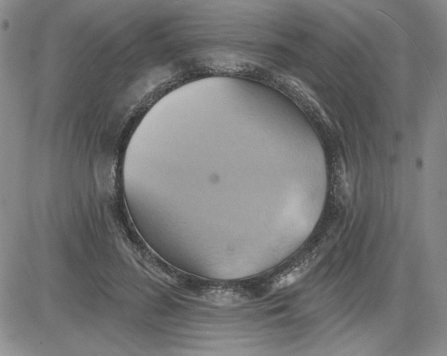 X0000081300596200701251720