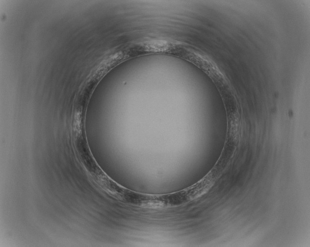 X0000081300598200701251720