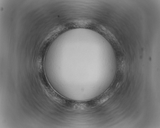 X0000081300599200701251720