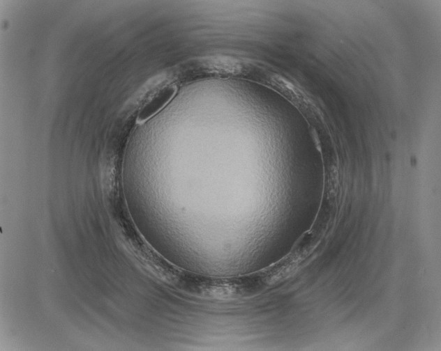 X0000081300600200701251720