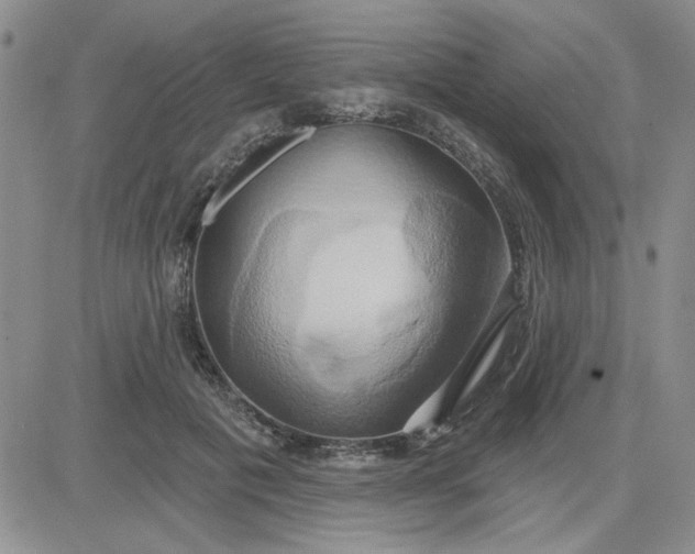 X0000081300601200701251720