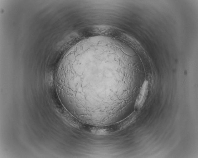 X0000081300602200701251720