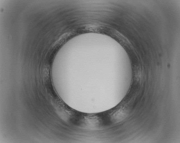 X0000081300603200701251720