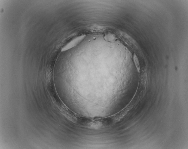 X0000081300604200701251720