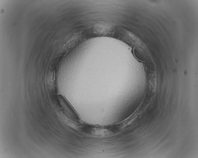 X0000081300605200701251720