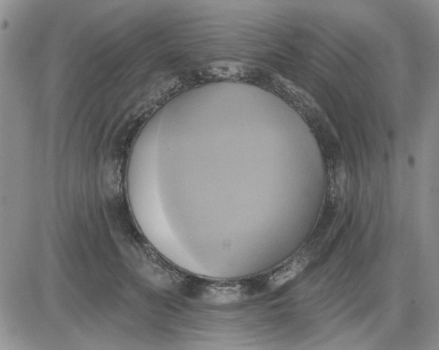 X0000081300606200701251720