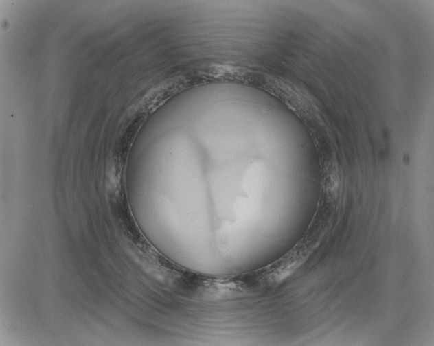 X0000081300607200701251720