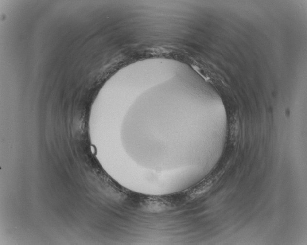 X0000081300608200701251720