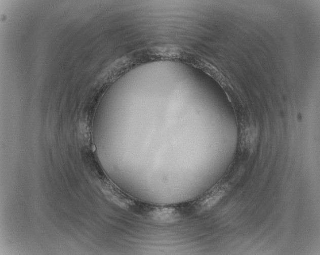 X0000081300609200701251720