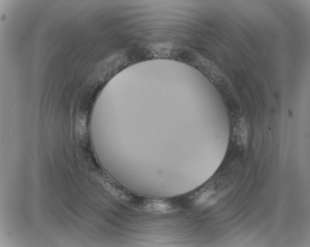 X0000081300610200701251720