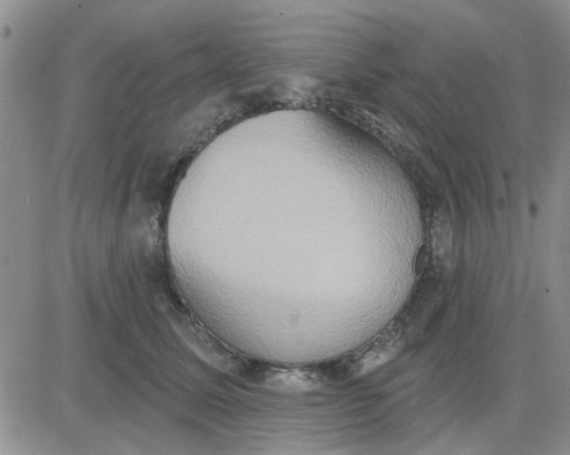 X0000081300611200701251720