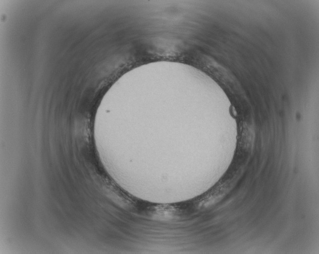 X0000081300612200701251720