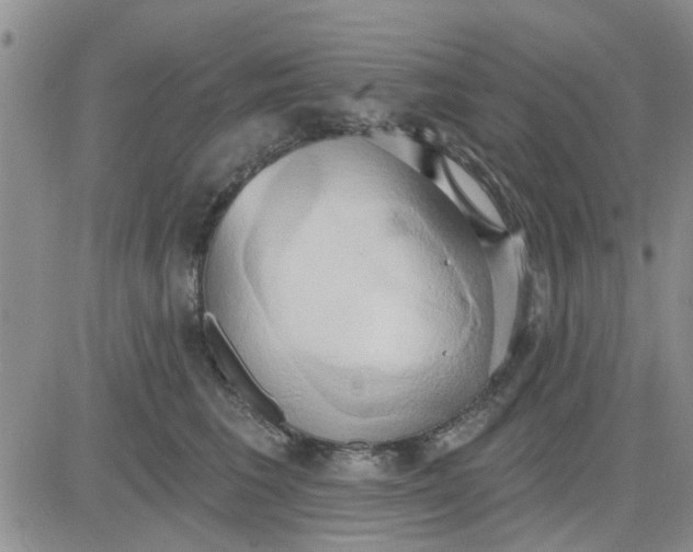 X0000081300613200701251720