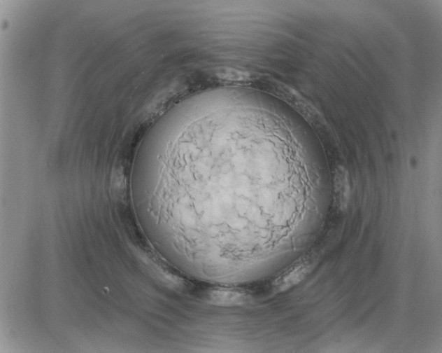 X0000081300614200701251719