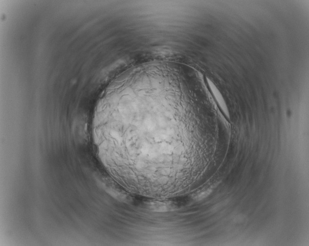 X0000081300615200701251719