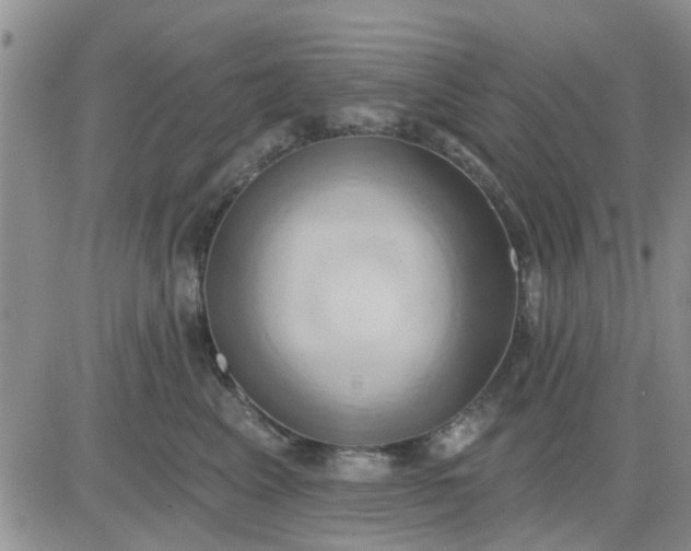 X0000081300617200701251719