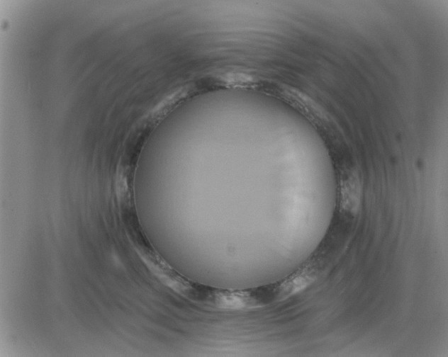 X0000081300618200701251719