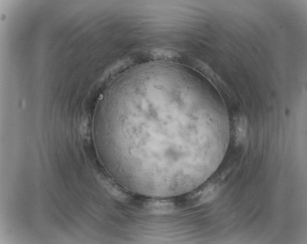 X0000081300619200701251719