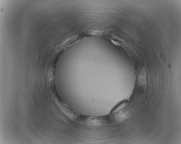 X0000081300620200701251719