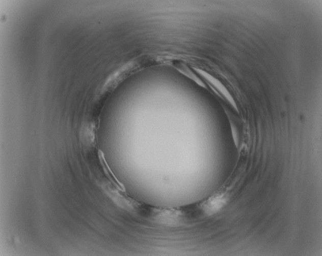 X0000081300621200701251719