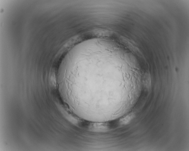 X0000081300622200701251719