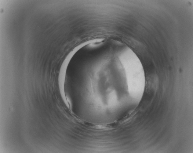 X0000081300623200701251719