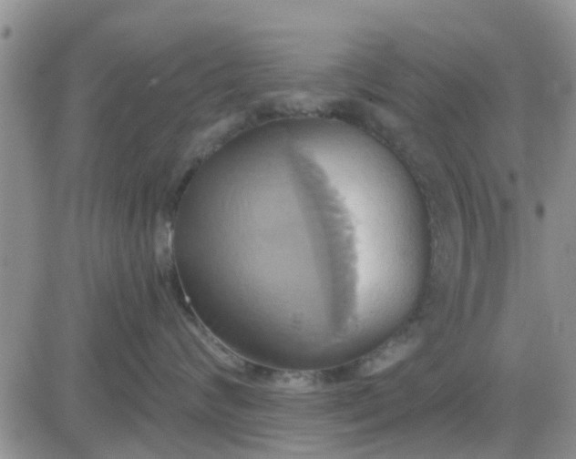 X0000081300624200701251719