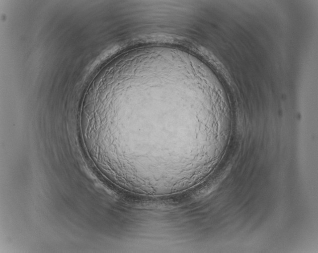 X0000081300625200701251719