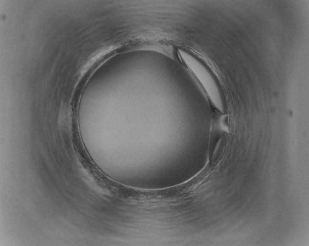 X0000081300626200701251719