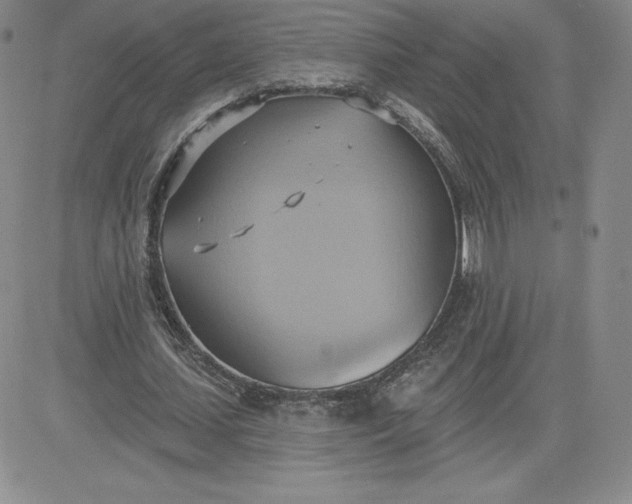 X0000081300627200701251719