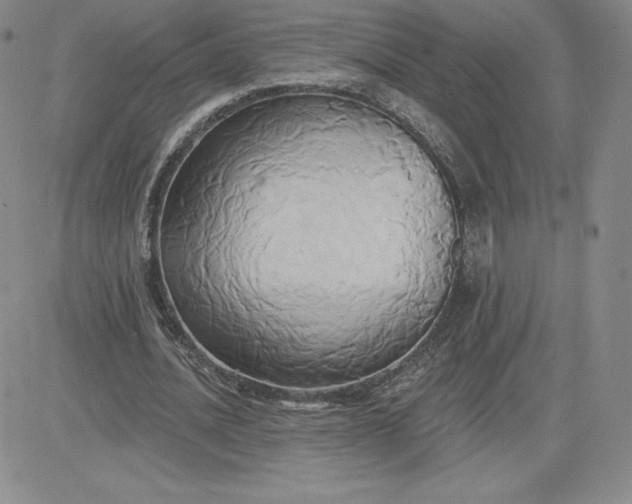 X0000081300628200701251719