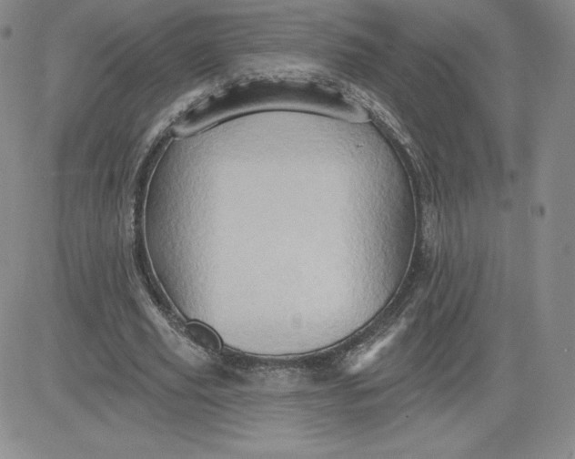 X0000081300629200701251719