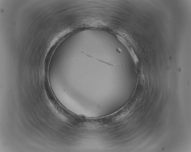 X0000081300630200701251719