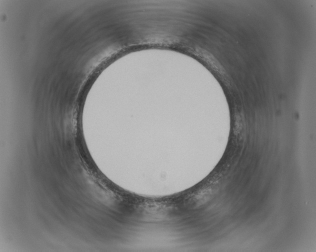 X0000081300632200701251719