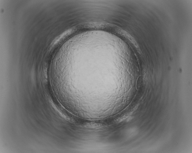 X0000081300633200701251719