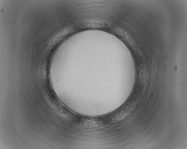 X0000081300635200701251719