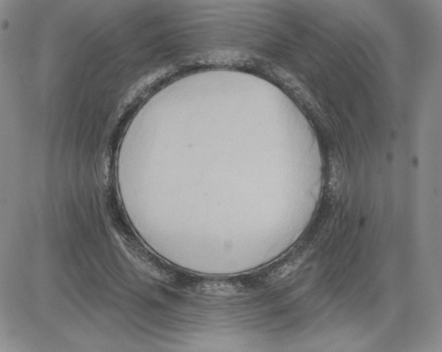 X0000081300636200701251719