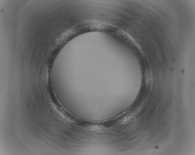 X0000081300637200701251719