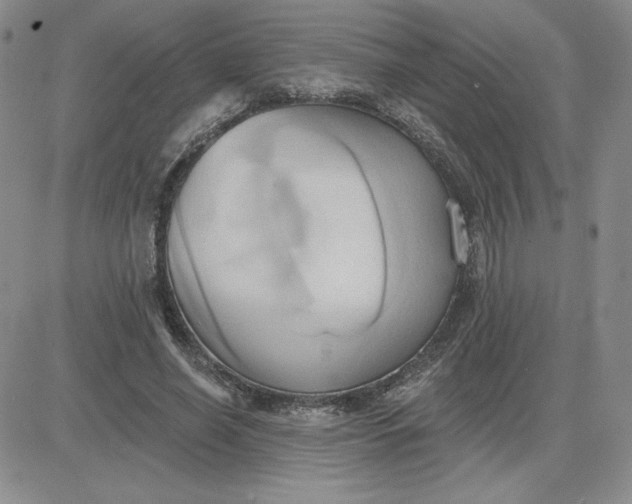 X0000081300638200701251719