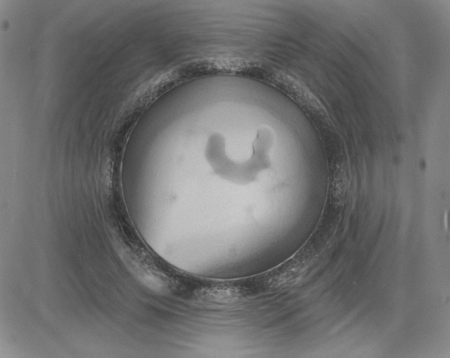 X0000081300639200701251719