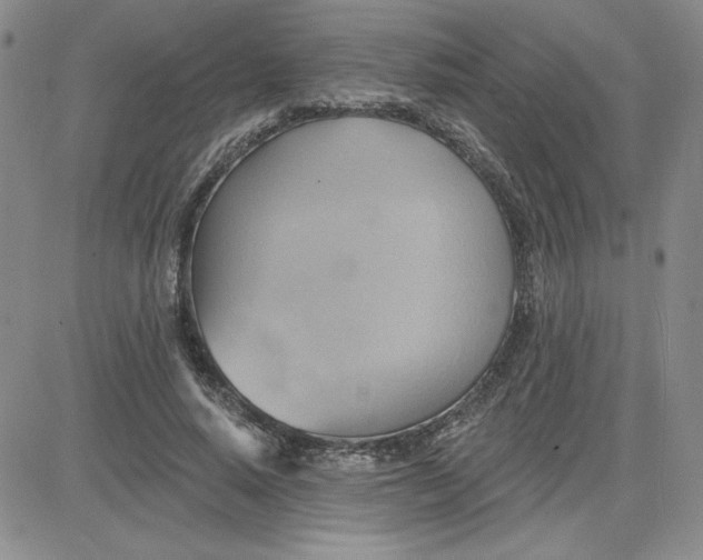 X0000081300640200701251719