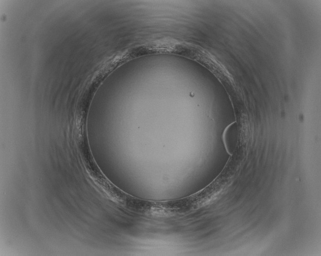 X0000081300641200701251719