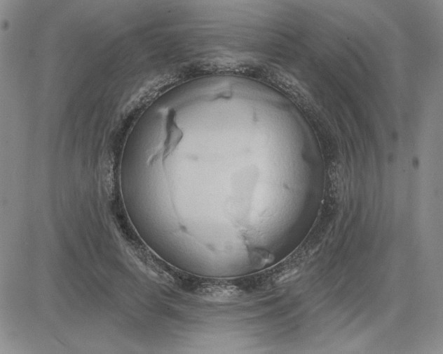 X0000081300642200701251719