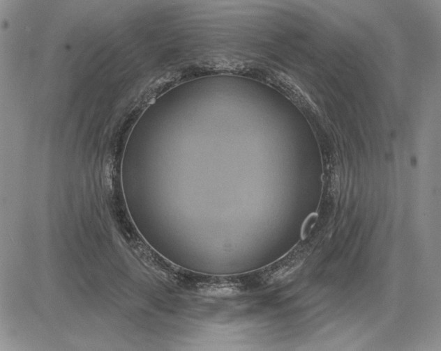 X0000081300643200701251719