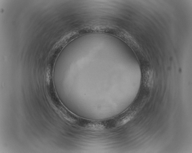 X0000081300644200701251719