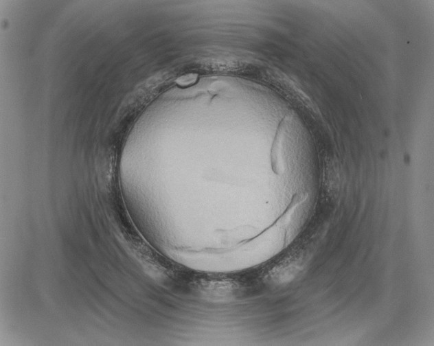 X0000081300645200701251719