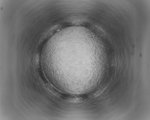 X0000081300646200701251719